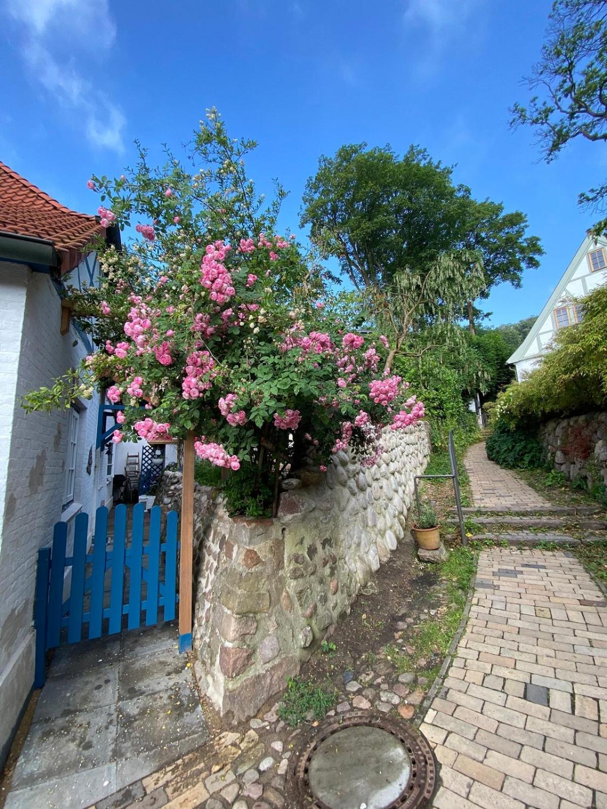 Fischerhaus Blankenese Hamburg Zewnętrze zdjęcie
